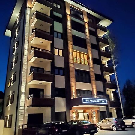 Vila Pino Silvestre ズラティボール エクステリア 写真